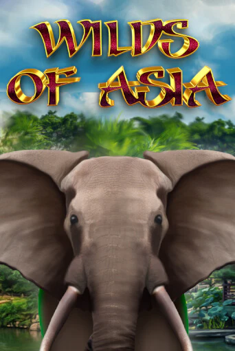 Играть в Wilds of Asia от 5 Men Gaming | Казино Сhampion Slots 